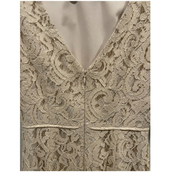 J.CREW Natalia in Leavers Lace Beige Mini Dress - Picture 7 of 8